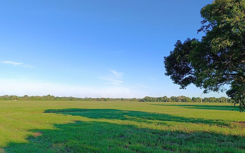 Terreno con vegetación de la urbanización cerrada Brisas del Lago, en Santa Cruz